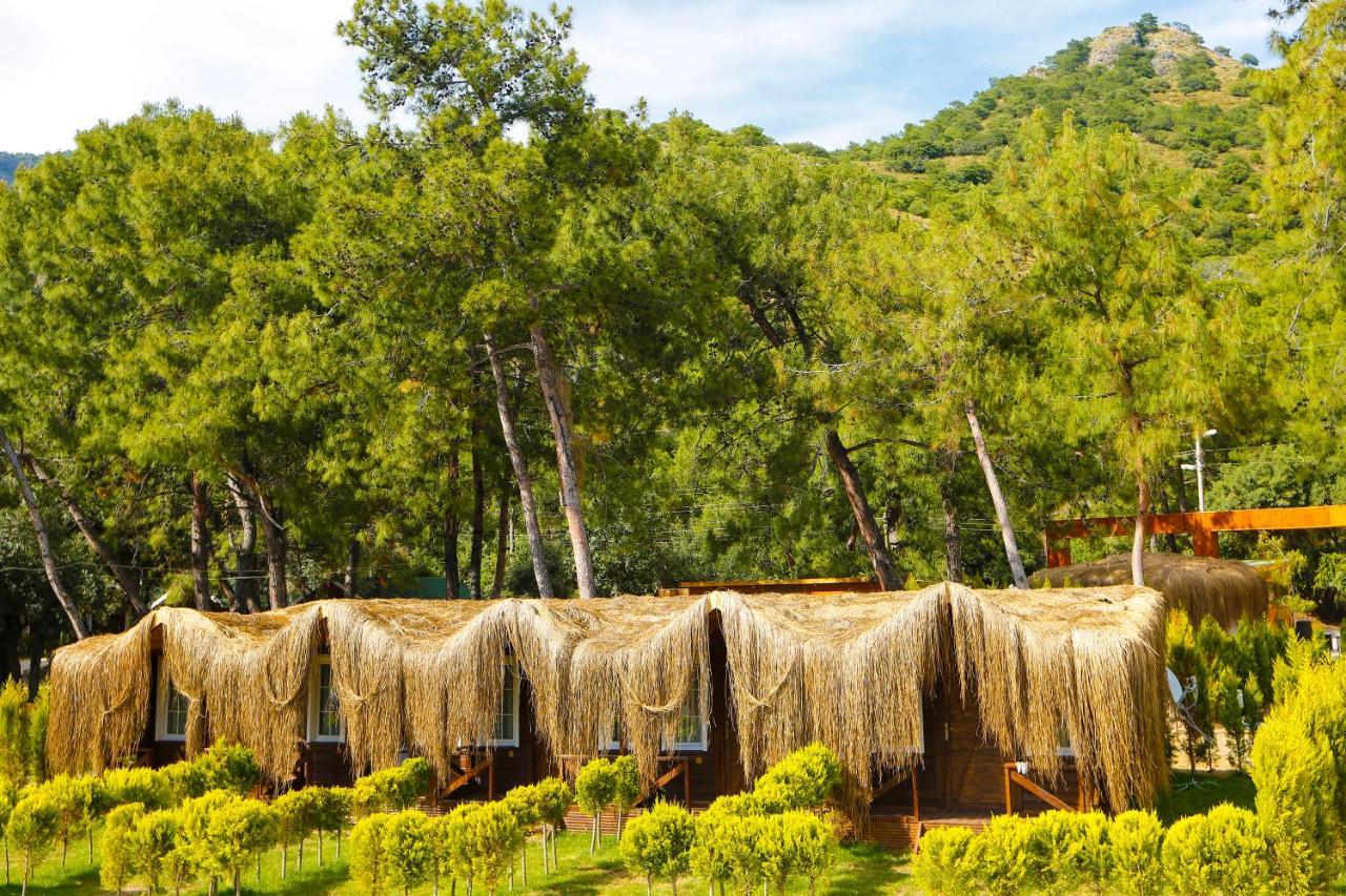 Green Pine Bungalows & Beach Luxury Concept Oludeniz Exterior foto