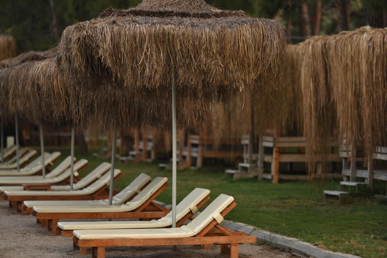 Green Pine Bungalows & Beach Luxury Concept Oludeniz Exterior foto