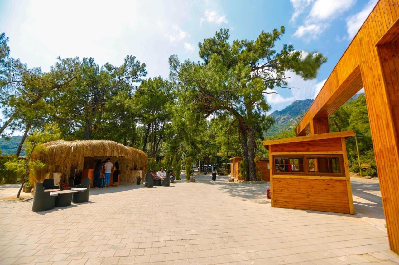 Green Pine Bungalows & Beach Luxury Concept Oludeniz Exterior foto