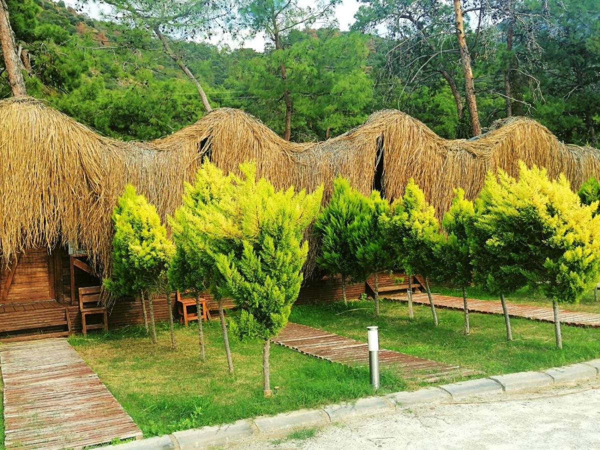 Green Pine Bungalows & Beach Luxury Concept Oludeniz Exterior foto