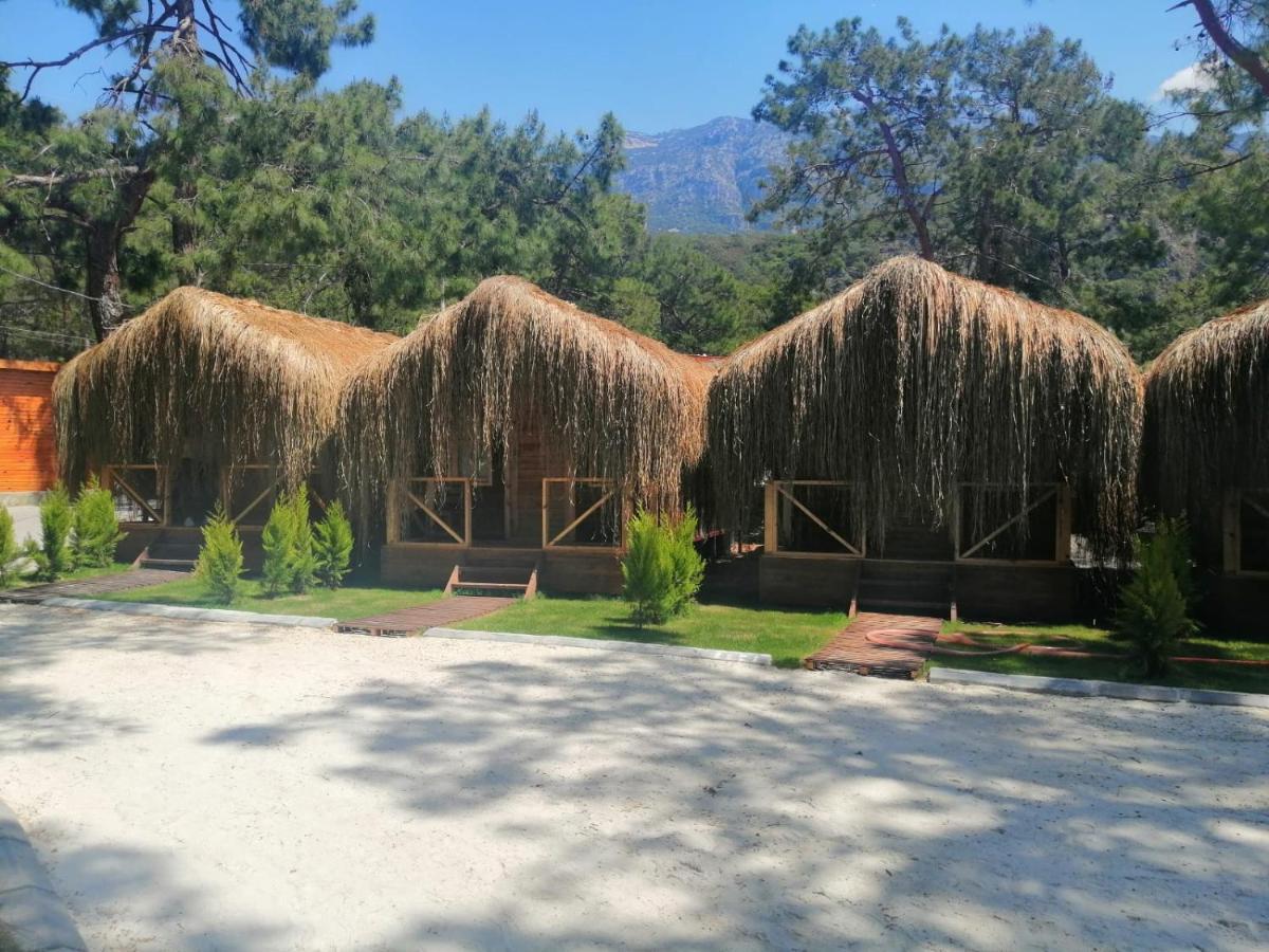 Green Pine Bungalows & Beach Luxury Concept Oludeniz Exterior foto