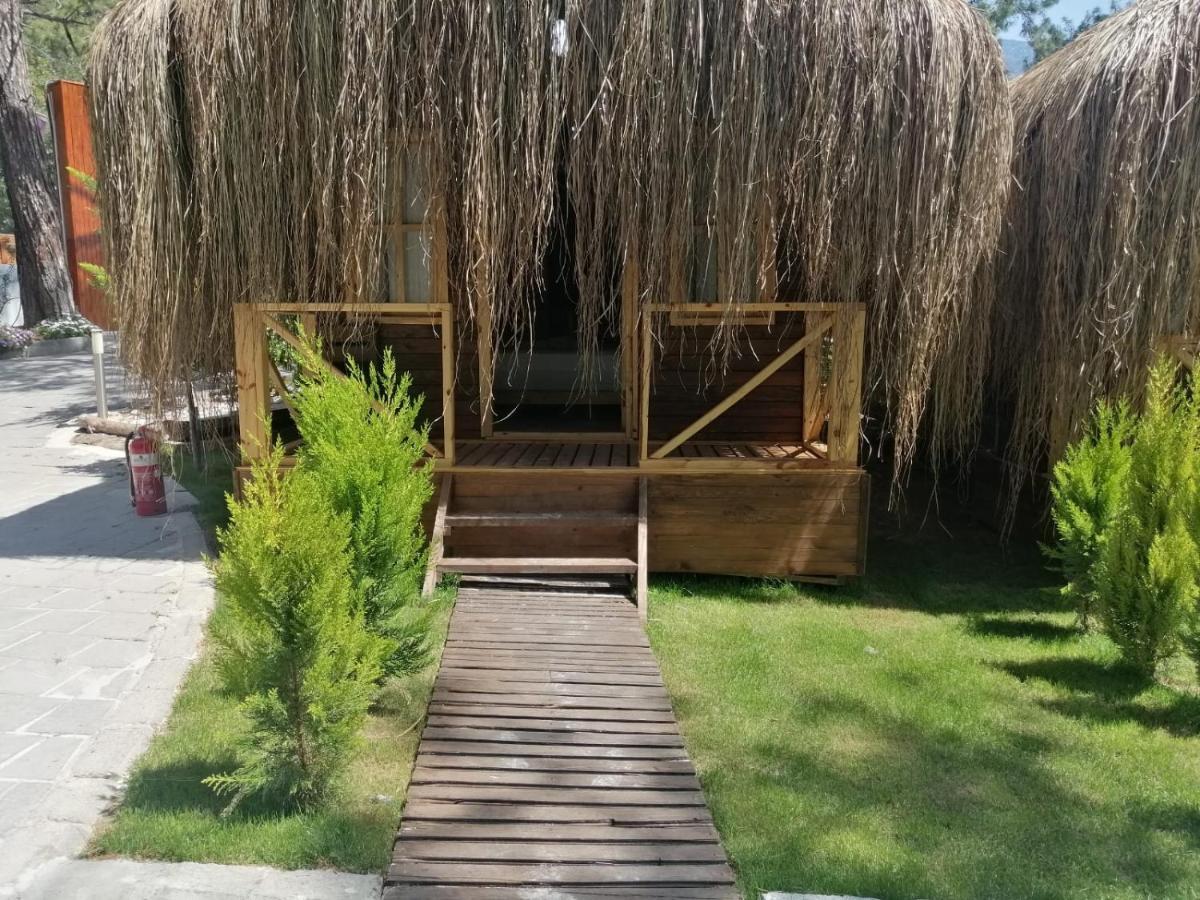 Green Pine Bungalows & Beach Luxury Concept Oludeniz Exterior foto