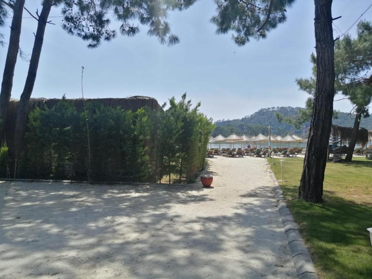 Green Pine Bungalows & Beach Luxury Concept Oludeniz Exterior foto