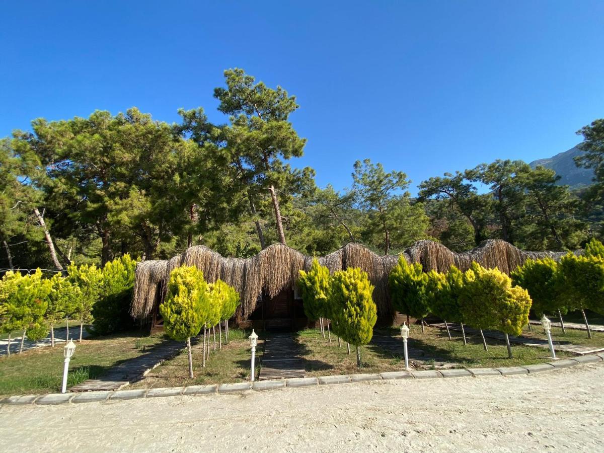 Green Pine Bungalows & Beach Luxury Concept Oludeniz Exterior foto