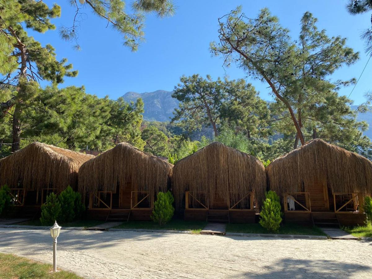 Green Pine Bungalows & Beach Luxury Concept Oludeniz Exterior foto