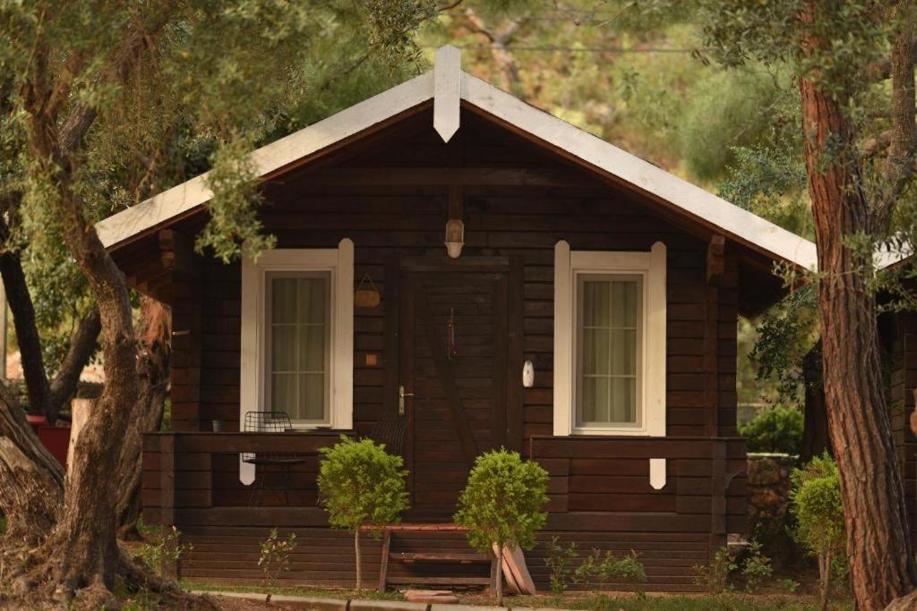 Green Pine Bungalows & Beach Luxury Concept Oludeniz Exterior foto