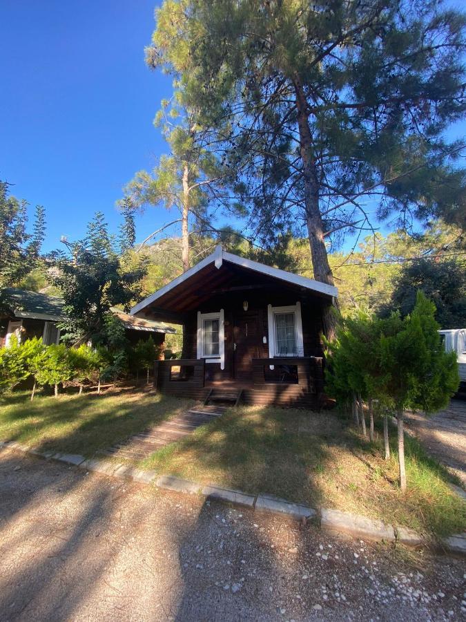 Green Pine Bungalows & Beach Luxury Concept Oludeniz Exterior foto